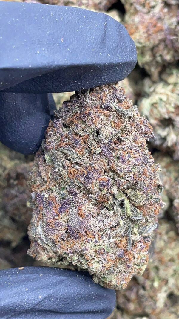 Purple Diesel1 Purple Diesel