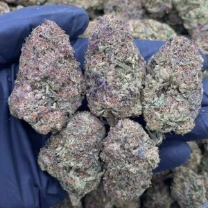 Purple Diesel2 Purple Diesel