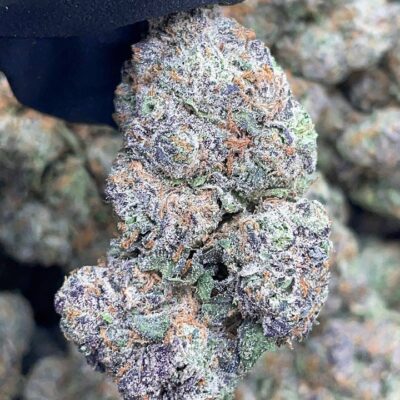 Purple Mochi