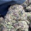 Purple Runtz1 Purple Runtz