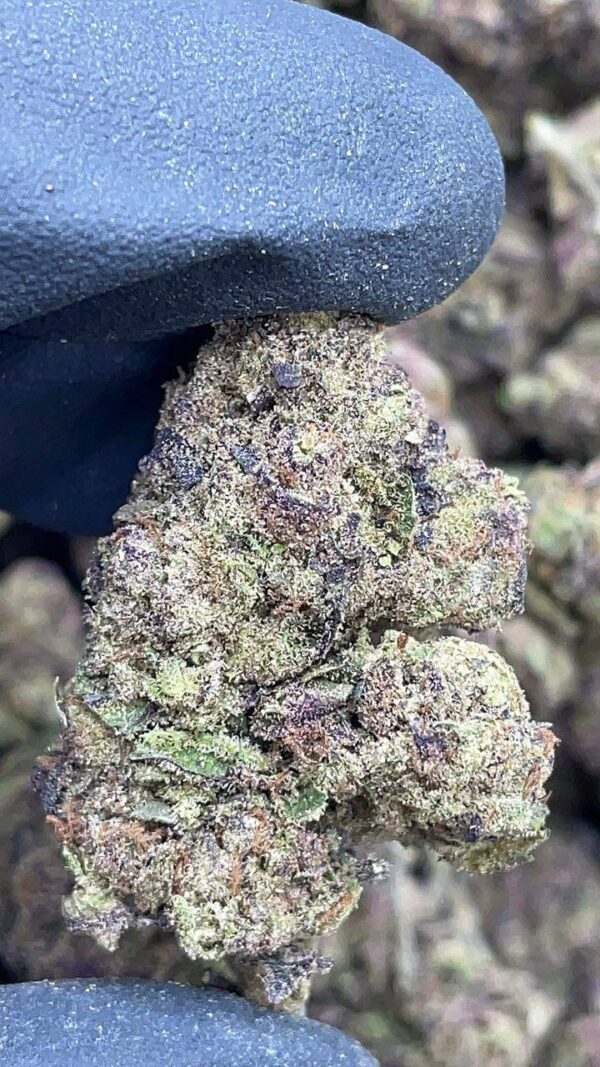 Purple Runtz1 Purple Runtz