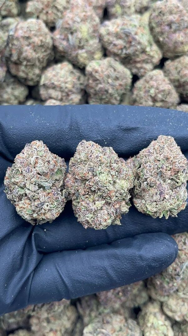 Purple punch1 Purple punch