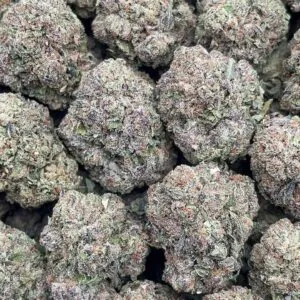 Purple punch2 Purple punch