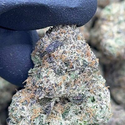 Rainbow Zkittlez