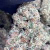 Sour Gas1 Sour Gas