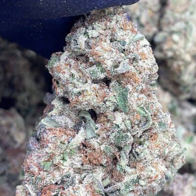 Sour Gas