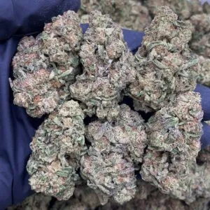 Sour Gas2 Sour Gas