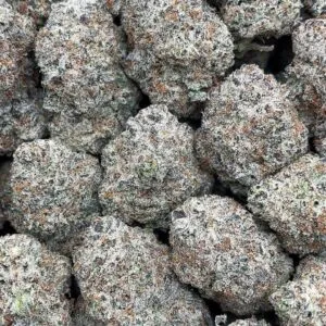 Trufflelatti2 Trufflelatti