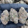 White widow