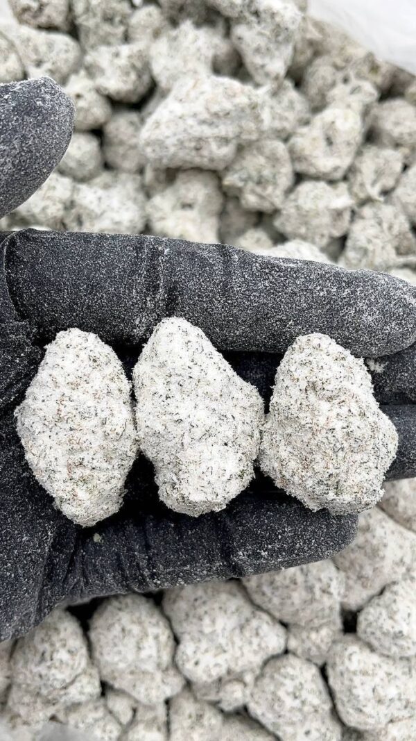 Arcadia snow caps