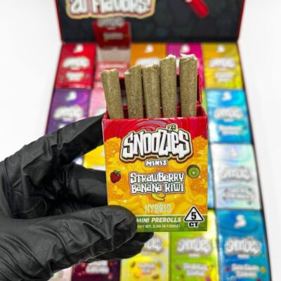 Snoozies Minis By Snooze